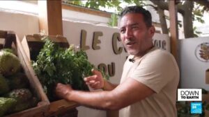 In Guadeloupe, local pesticide-free farming restores trust in food