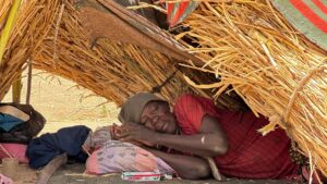 War in Sudan: ‘People are having to eat charcoal or boiled leaves to survive’