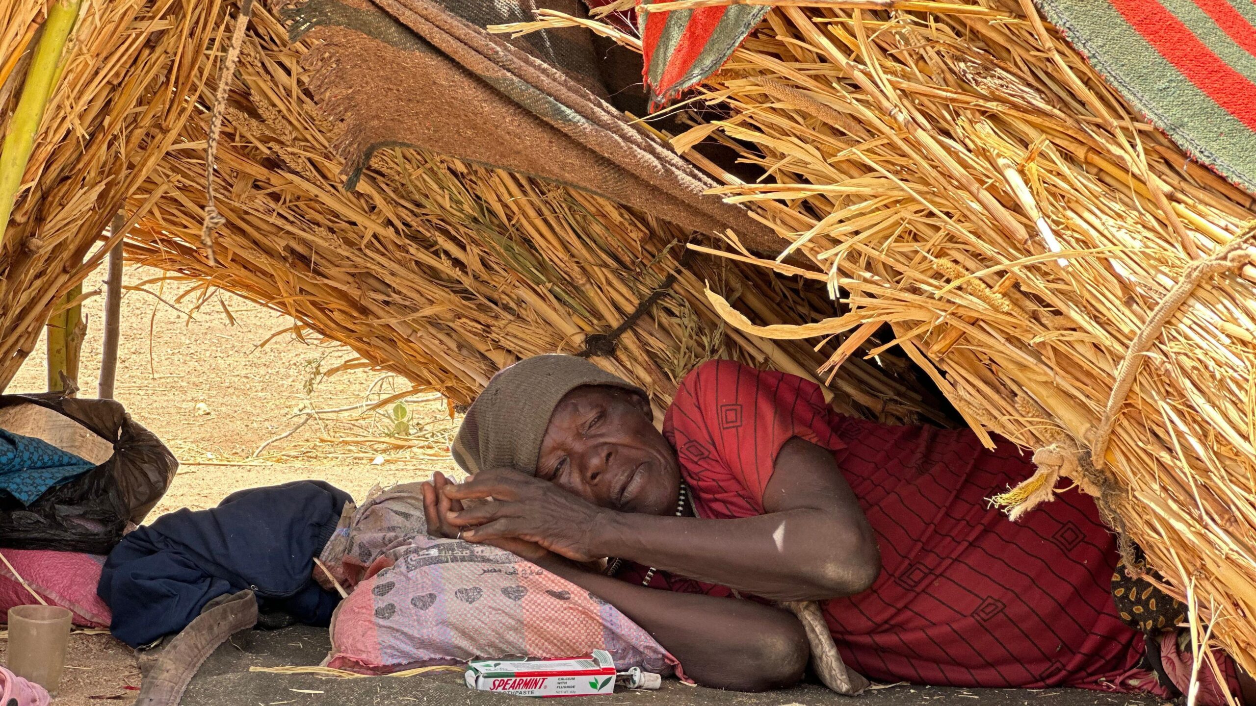 War in Sudan: ‘People are having to eat charcoal or boiled leaves to survive’