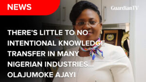 There’s little to no intentional knowledge transfer in many Nigerian industries –  Olajumoke Ajayi
