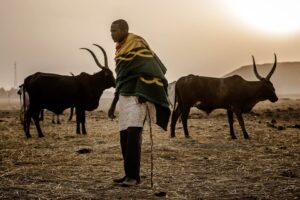 Nigeria’s farmer-herder conflicts: Where is the end?