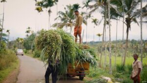 Can villages help India achieve climate goals?