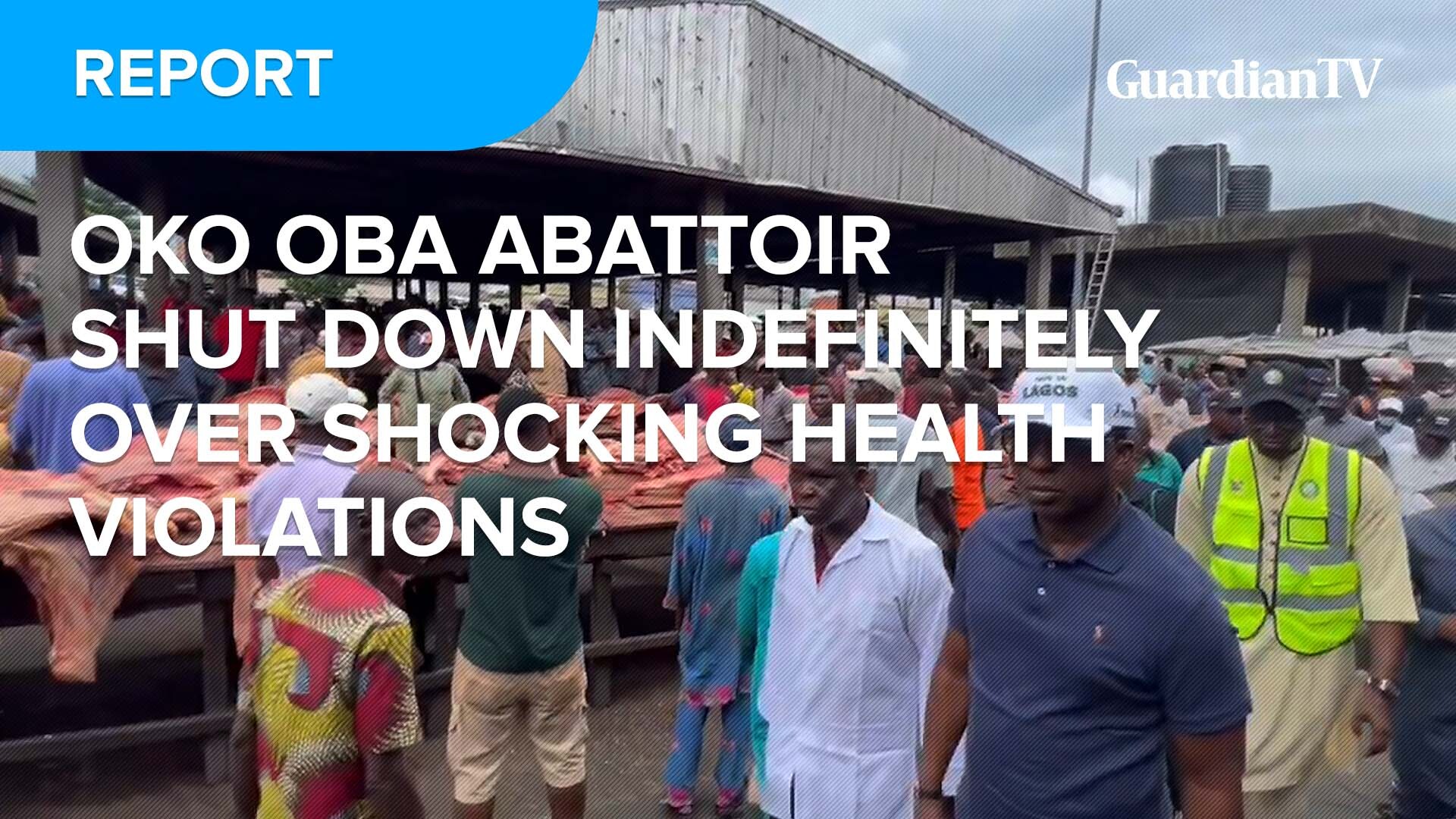 Oko Oba Abattoir shut down indefinitely over shocking health revelations