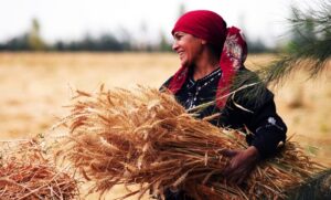 Egypt’s female farm workers face dire working conditions