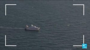 Saving the ocean: ‘We have to be optimistic because it’s our only planet,’ scientist says