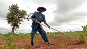 Burundi: Students boost food security with AI