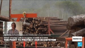 ‘We want to add ecocide to the list of international crimes’: Head of Stop Ecocide International