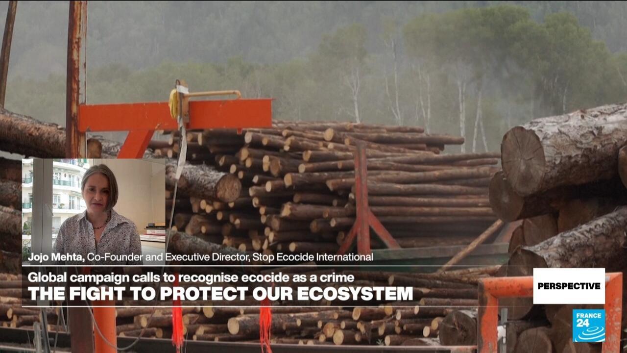 ‘We want to add ecocide to the list of international crimes’: Head of Stop Ecocide International