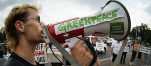 Greenpeace in court: Romania takes aim at environmental NGOs