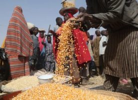 UN warns of rising hunger across Africa