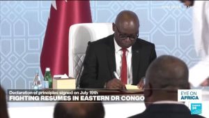 Fighting resumes in eastern DR Congo