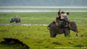 Latest rhino count a mixed bag for world’s five species