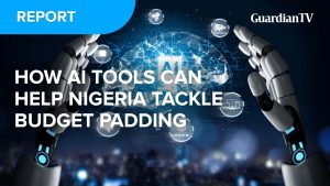 How AI tools can help Nigeria tackle budget padding