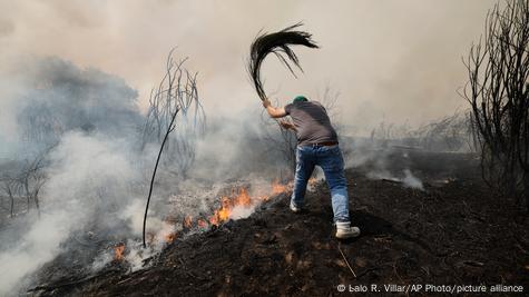 Spain: Wildfires rage as heatwave enters 3rd week
