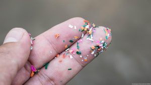 Photosynthesis under attack by microplastics