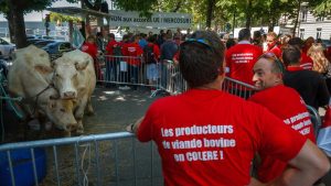 EU moves ahead with massive trade deal with Mercosur, with safeguards in place