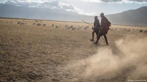 Maasai face pressure as Tanzania eyes relocations