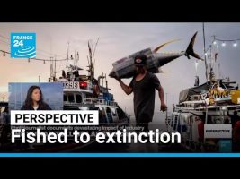 Photojournalist Nicole Tung on the environmental and human toll of overfishing