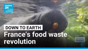 Eggs, zoos and tech at the heart of France’s food waste revolution