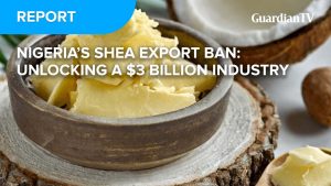 Nigeria’s Shea export ban: Unlocking a $3 Billion industry