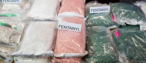 Fentanyl: Germany prepares for a synthetic opioid crisis