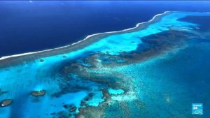 Coral reefs cross survival limit, in Earth’s first catastrophic climate tipping point