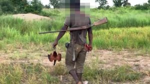 Ghana hunting ban helps threatened species but faces pushback