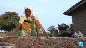Nigerian nut ban slammed as shea madness