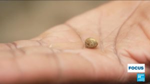 Gold rush in western Kenya: Miners risk health and safety in Kakamega county