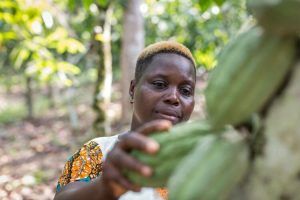 Why fair trade still matters when coffee and cocoa prices are high