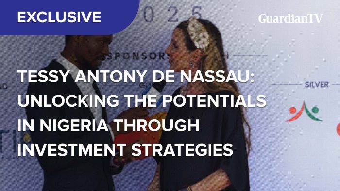 Tessy Antony De Nassau: Unlocking the potentials in Nigeria through investment strategies