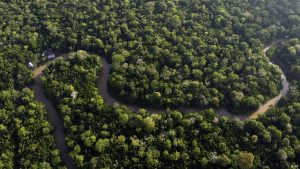 Brazil’s $125 billion plan to save the world’s rainforests