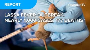 LASSA Fever Outbreak: Nearly 1,000 cases, 177 deaths