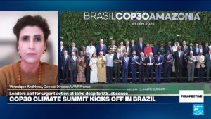 COP30 climate summit: ‘We expect action and implementation,’ head of WWF France says
