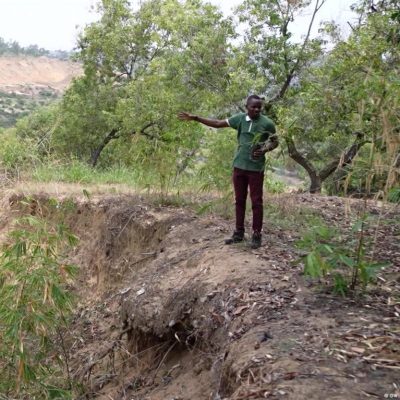 How bamboo can save homes in Kinshasa DRC