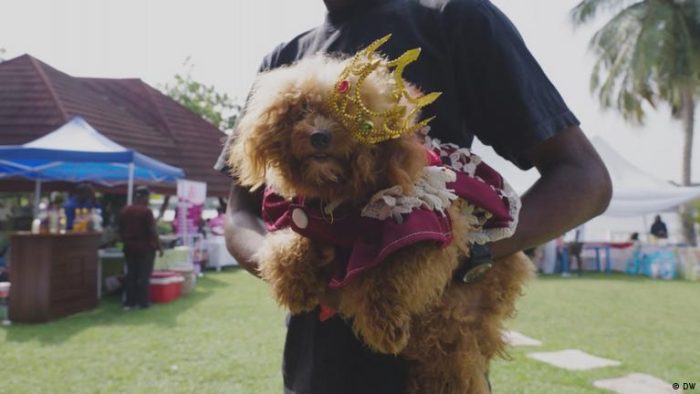 Putting Nigeria on the map as a country of dog-lovers
