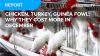 Chicken, Turkey, Guinea Fowl: Why they cost more in December