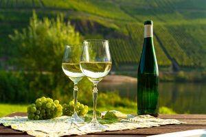 German wine: All you need to know