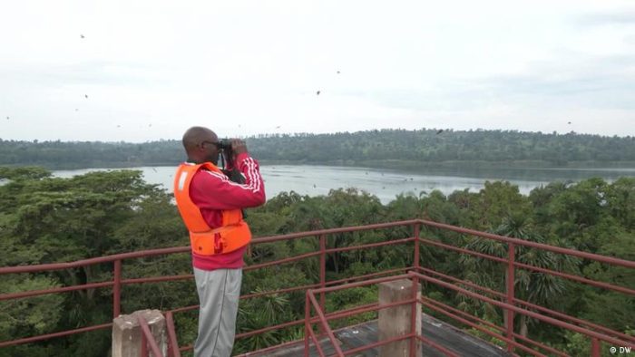 Community efforts to protect Burundi’s birdlife