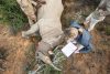 ‘Rhino Renaissance Campaign’: South Africa steps up fight against poachers