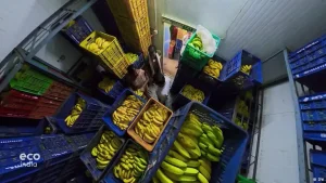 EV retrofits, a cost-cutting solution to Delhi air pollution