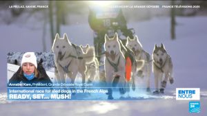 International race for sled dogs under way in French Alps