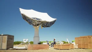 Nature reviving under the stars of South Africa’s Karoo