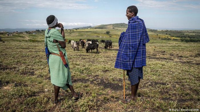 Maasai evictions in Tanzania: Is it progress or injustice?