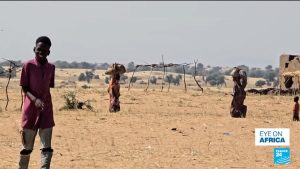Fresh evidence of starvation crimes in Darfur emerges