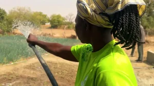 Eco Africa – Rethinking urban water: A Ugandan fix for a growing crisis