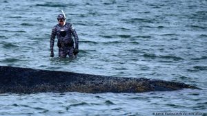 Marine biologist: ‘Sometimes hope wins out’