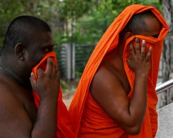 Buddhist monks-in-training caught with 110kg of cannabis in Sri Lanka