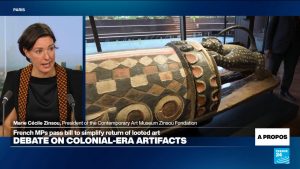 ‘Today the relationship between France and the African continent changes,’ historian says