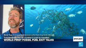 From the oceans into our bodies: Plastic pollution ‘associated with obesity and dementia’